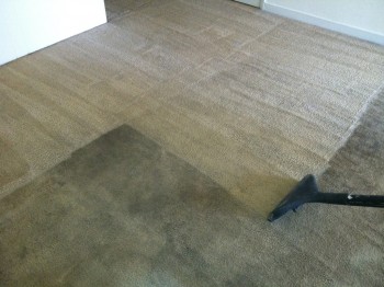 Carpet Cleaning The Gap