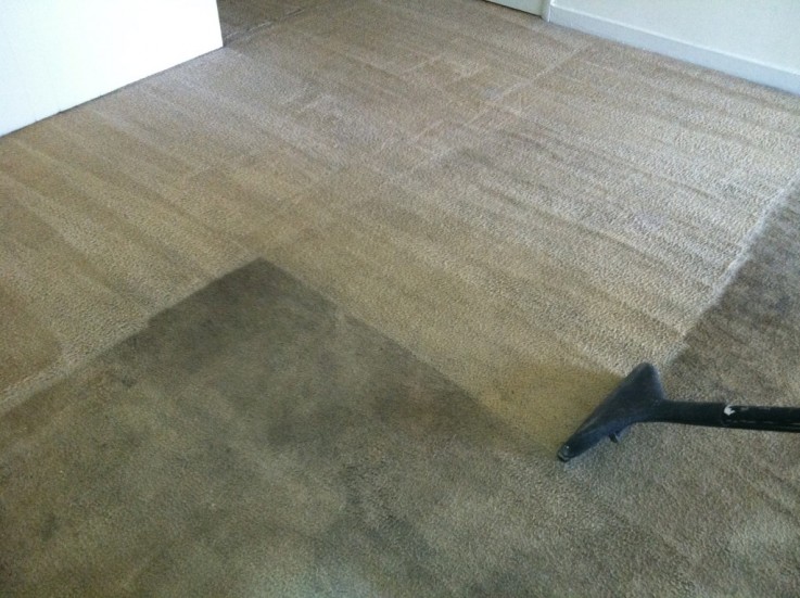 Carpet Cleaning The Gap