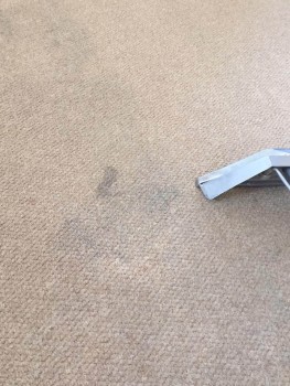 Carpet Cleaning Hendra