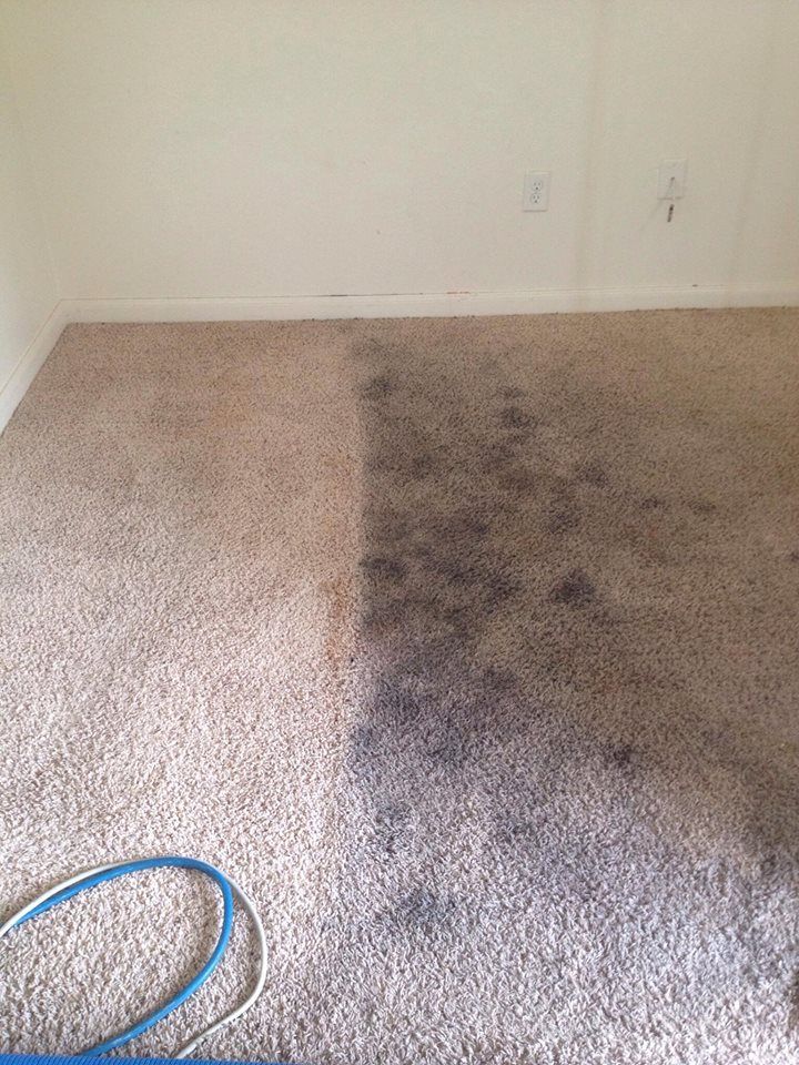 Carpet Cleaning Hendra