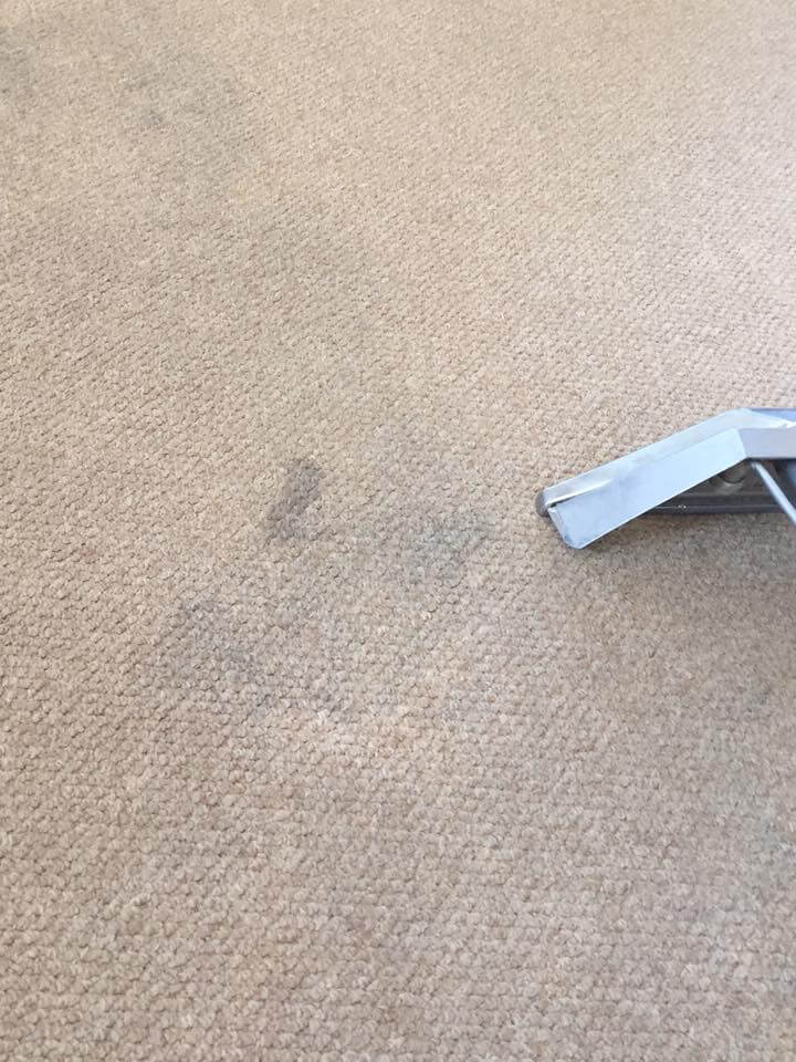 Carpet Cleaning Hendra