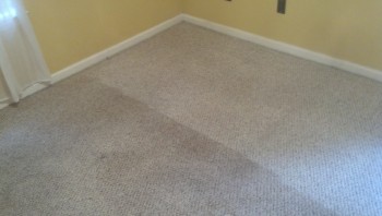 Carpet Cleaning Kedron