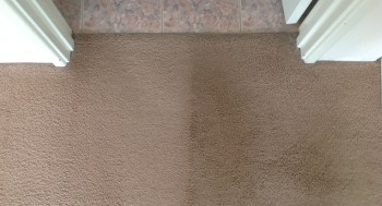 Carpet Cleaning Kedron