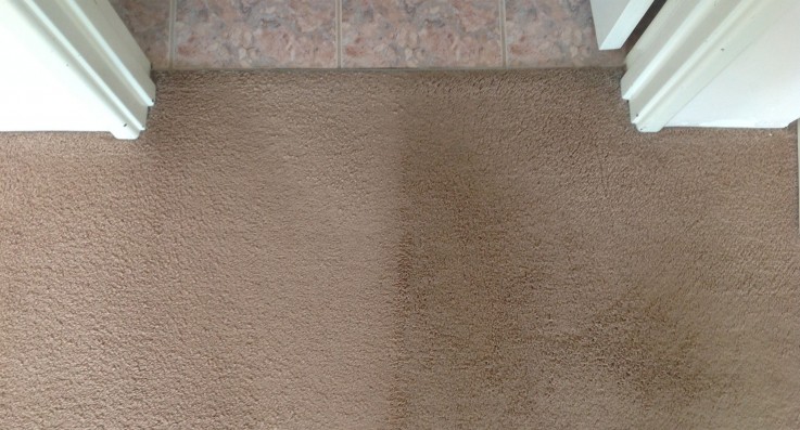 Carpet Cleaning Kedron