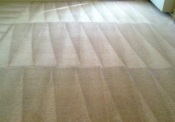 Carpet Cleaning Double Bay