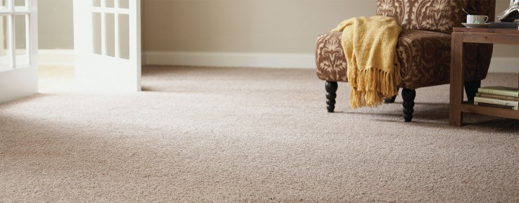 Best carpet cleaner company