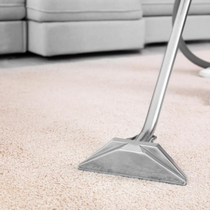Professional and Affordable Carpet Cleaning in Dandenong