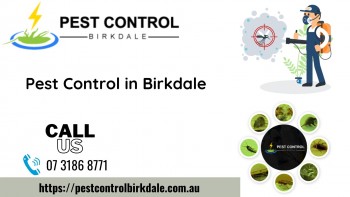 Local Pest Control Services in Birkdale,
