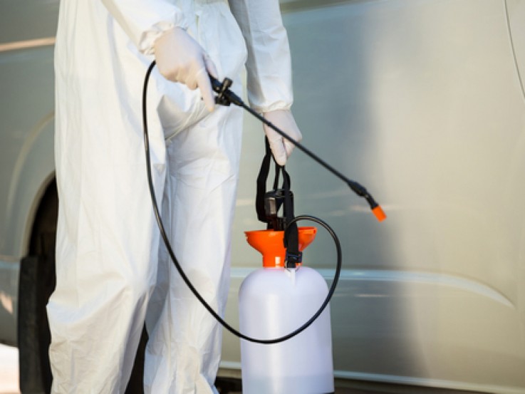 Pest Control Rozelle