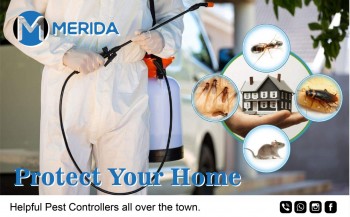 Pest control Southall