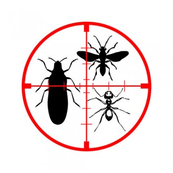 Pest Control Goolwa