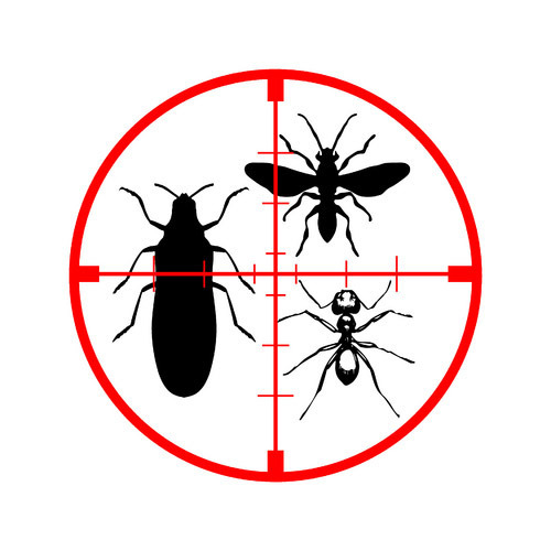 Pest Control Goolwa