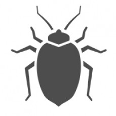 Pest Control Burnside