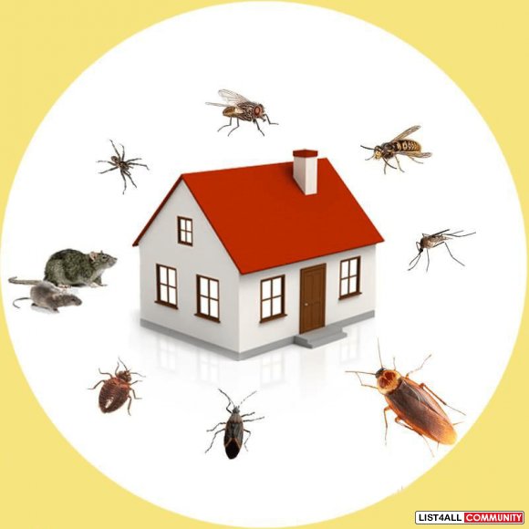 Pest Control Bell Park