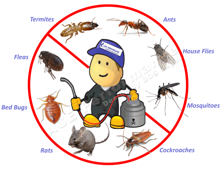Pest Control Bell Park