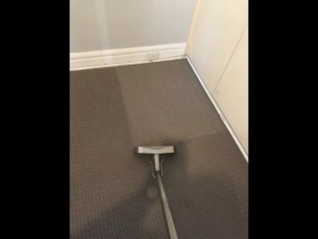 Carpet Cleaning Newtown