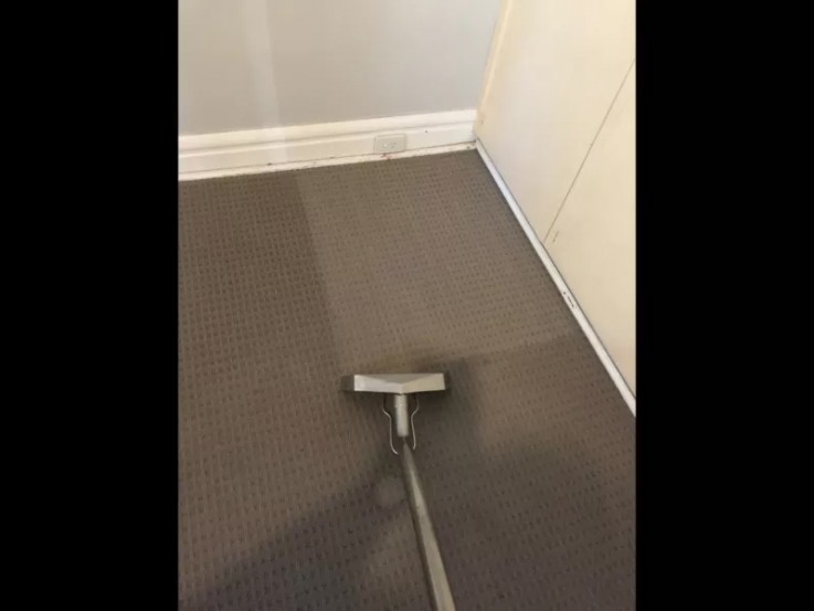Carpet Cleaning Newtown