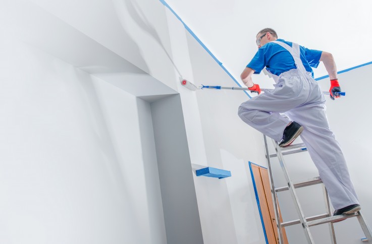 Professional Painting Service Provider |