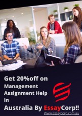 Now Get 20% Off on Management Assignment Help 