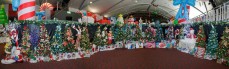 Make Your Children Happy with Our Kids Party Rental