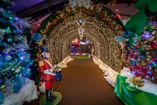 Make Your Children Happy with Our Kids Party Rental