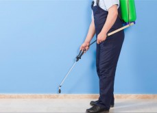Pest Control Business 