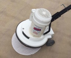 Pest Control Business 