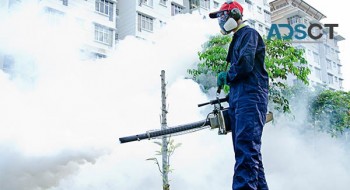 Local Pest Control Sydney