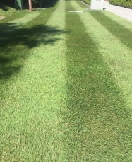 Home Services Business