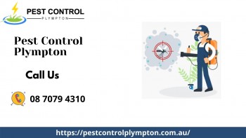 Pest Exterminators in Plympton, SA