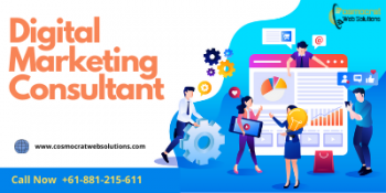 digital marketing consultant