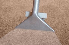 Carpet Cleaning Mermaid Beach