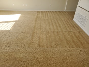 Carpet Cleaning Mermaid Beach