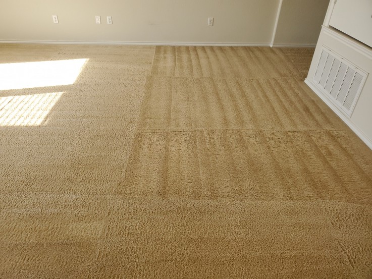 Carpet Cleaning Mermaid Beach