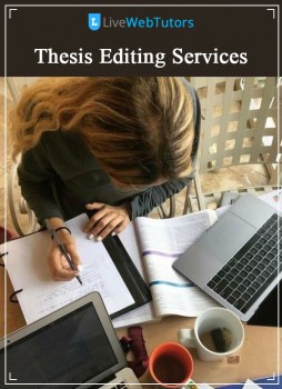 Why Take Thesis Editing Services Online?