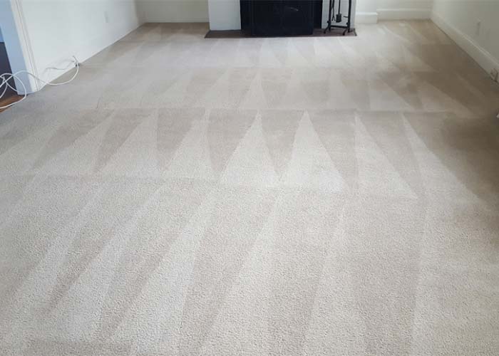 Carpet Cleaning Gordon