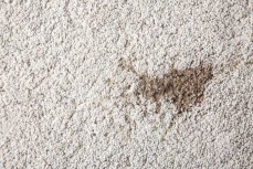 Carpet Cleaning Melbourne
