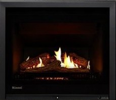 Rinnai Gas Heater Services
