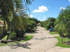 Management Rights for sale