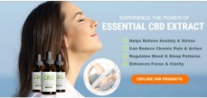 Essential CBD Extract