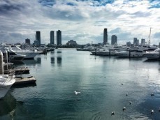Rental Business for sale 