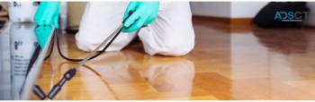 Carpet Cleaning Eltham