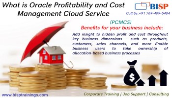 Learn Profitability and Cost Management Cloud Service (PCMCS) 