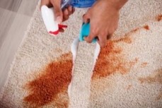 SES Carpet Cleaning Melbourne