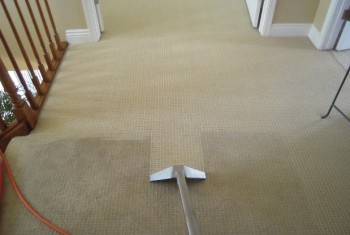 Carpet Cleaning Magill