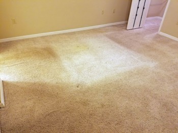 Carpet Cleaning Magill