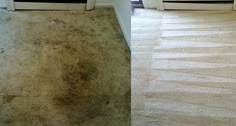 Carpet Cleaning Magill