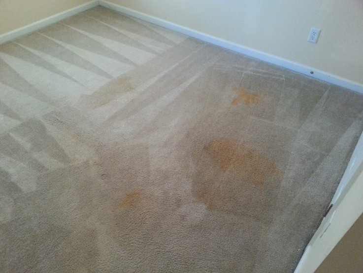 Carpet Cleaning Magill