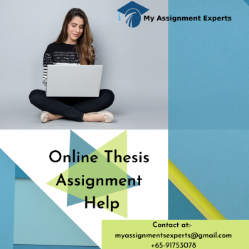 Online Thesis writing help - My assignment experts