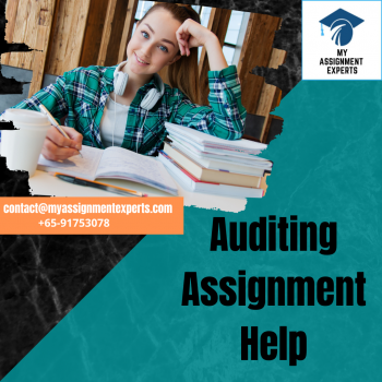Auditing assignment help | My Assignment experts
